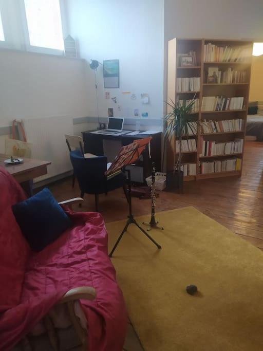 Chambre Dans Appartement De Caractere Dole Buitenkant foto